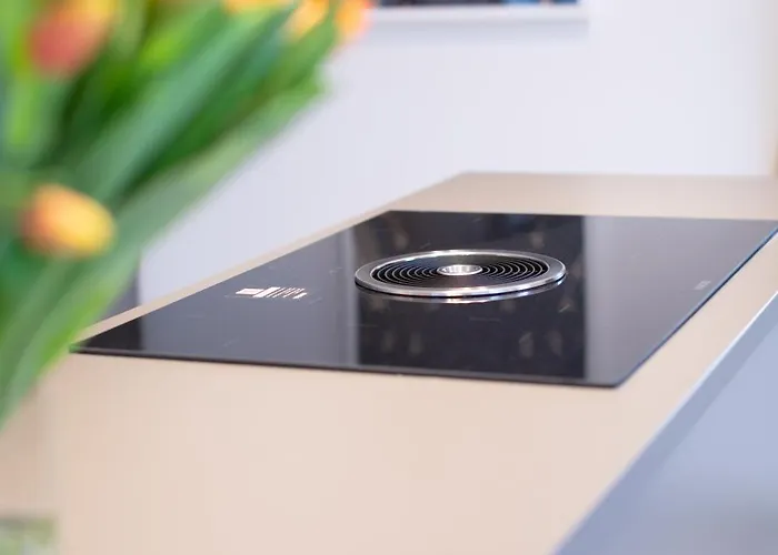 Domus Faber 公寓 *