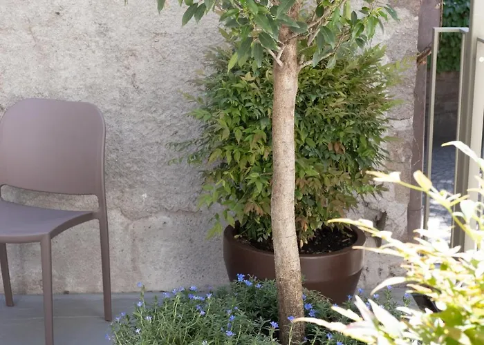 Domus Faber 梅拉诺